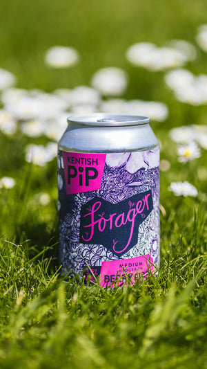 Forager Cans 12 x 330ml